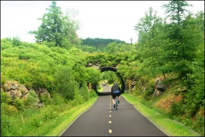 Dans quel comté norvégien se situe la localité de Leira ?