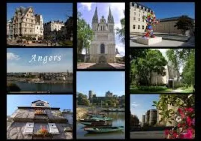 Je sers à couvrir les toits et je suis dans le nom d'une spécialité d'une ville du Maine-et-Loire. Je suis ...