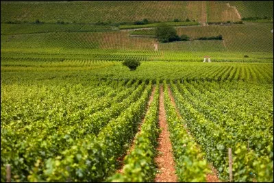 Qui est la déesse des moissons ?