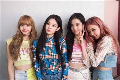 Si tu voulais devenir une star, tu serais...