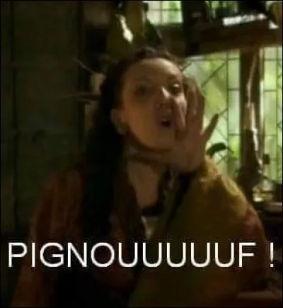 Kikaadit "C'est l'hiver cest tout, pas la peine de la boucaner votre bestiole." ?