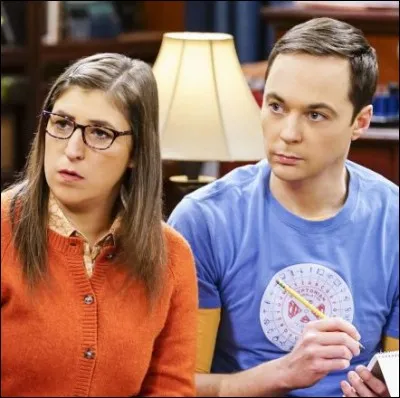 Par qui est utilisée pour la première fois l'expression "Big Bang" ?