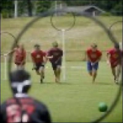 Quel est ton rôle dans le Quidditch ?