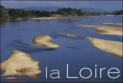 La Loire se jette dans la Manche.