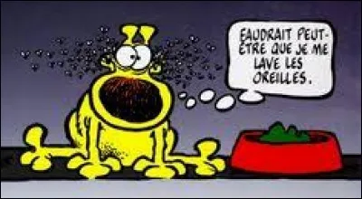 Quel est le nom de ce chien ?