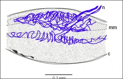 Ce qui est représenté est sensible à...