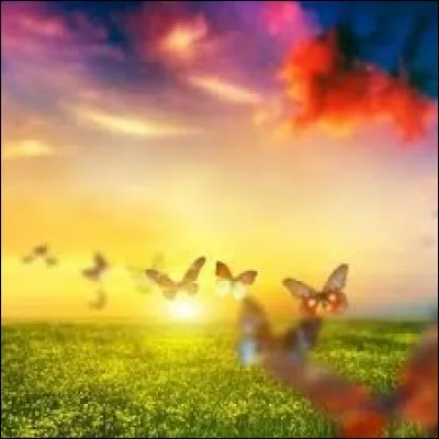 Par qui a été écrite et réalisée la série télévisée "Il était une fois la Vie" ?