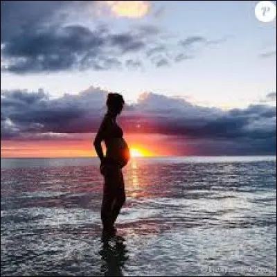 Quelle marque de produits technologiques a comme logo une pomme croquée ?