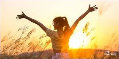 Qui est le réalisateur du film "Les Dents de la mer" ?