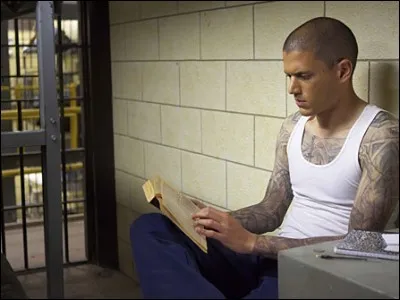 Quel est le numéro de la cellule de Michael Scofield et Fernando Sucre ?