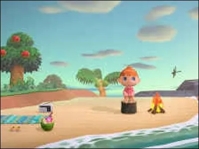 Comment s'appellera ce nouvel Animal Crossing ?