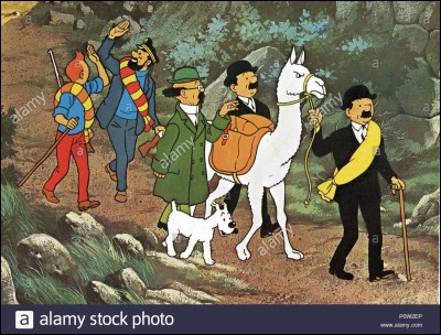 Quel est le titre du premier album des aventures de Tintin ?