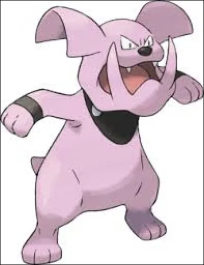 Quel est ce Pokémon ?