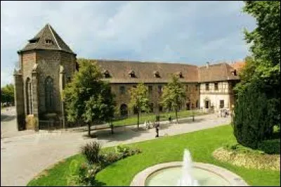 Quel musée allez-vous pouvoir visiter à Colmar ?
