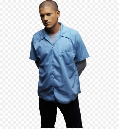 Quel métier Michael Scofield faisait-il avant d'aller en prison ?