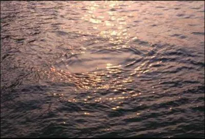 'Saumtre' signifie 'Qui a le got ... '.