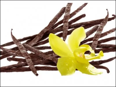 Quel est le nom de cette épice constituée par le fruit d'orchidées lianescentes tropicales ?