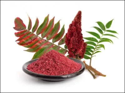 Quel est le nom de cette épice orientale obtenue à partir des baies séchées d'un arbuste du gens pistachier ?