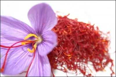 Quel est le nom de cette épice obtenue par la culture d'un crocus dont on prélève les stigmates rouges ?