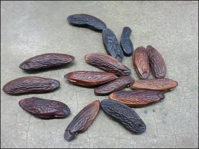 Quel est le nom de cette épice provenant d'une graine contenue dans le noyau du fruit d'un arbre tropical ?