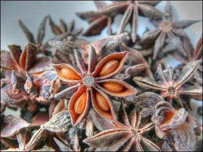 Quel est le nom de cette épice provenant des graines du fruit d'un arbre originaire de Chine ?