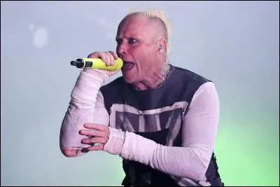 Qui chante "Walk on the Wild Side" ?