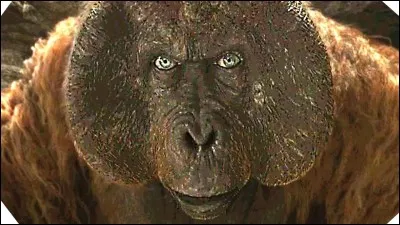 Qui est l'auteur du roman "La Voie royale" ?