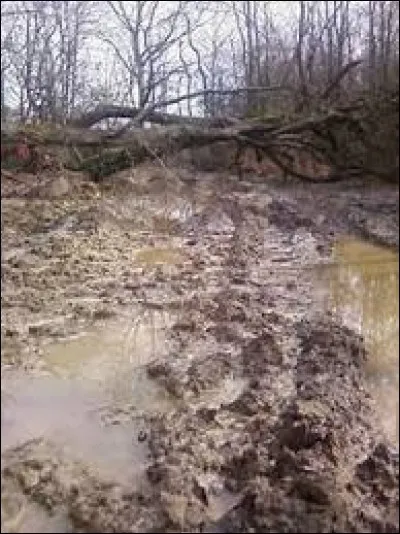 La terre mouillée est aussi appelée la...