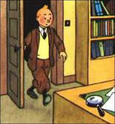 Avant de s'installer au ch&acirc;teau de Moulinsart, Tintin habitait rue du Labrador. Mais &agrave; quel num&eacute;ro ?