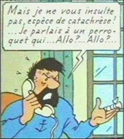 Laquelle de ces insultes ne figure pas dans le r&eacute;pertoire du capitaine Haddock ?