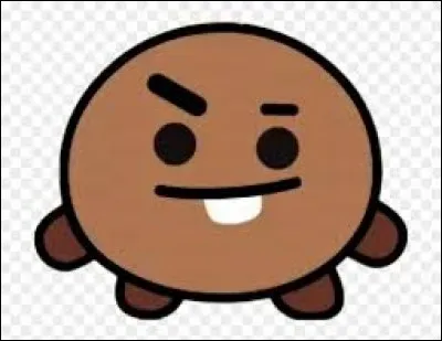 À qui appartient ce BT21 ?