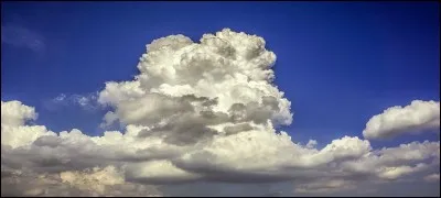 À quoi l'image présentée ci-dessus peut-elle faire référence ?