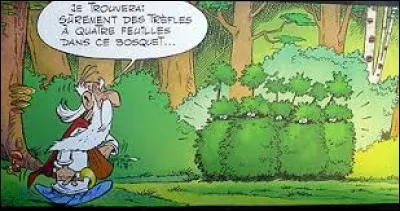 Dans un bosquet dans la forêt, Panoramix espère trouver des trèfles à quatre feuilles. En réalité, que s'apprêt-t-il à couper ?