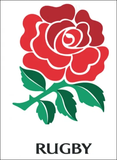 Quelle équipe de rugby est surnommée "le XV de la rose" ?