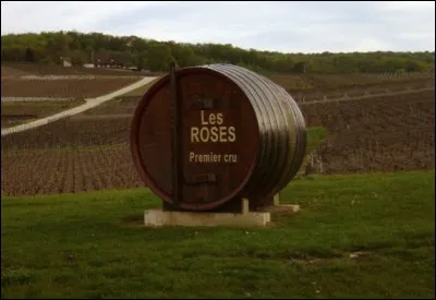 Quel est le nom de cette commune viticole de la Marne ?