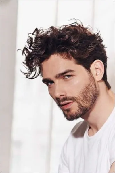 Vous préférez les hommes aux cheveux :