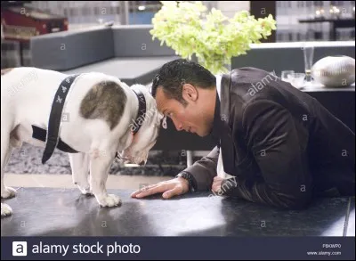 Comment s'appelle son chien ?