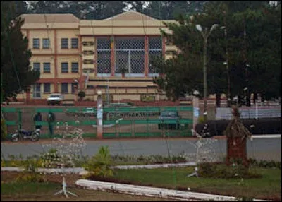 Dans quel département camerounais se situe la ville de Bafoussam ?