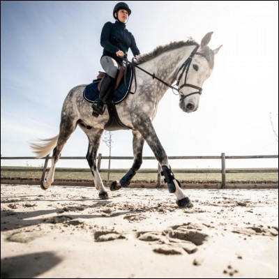 Quelles sont les aides d'incurvation ?