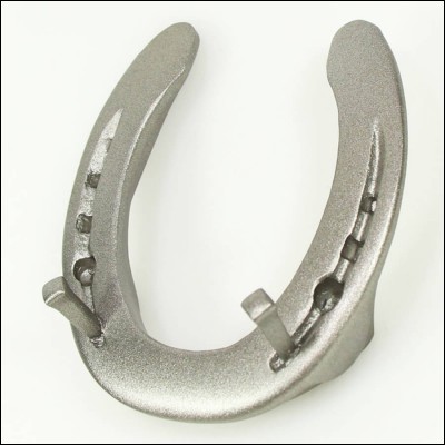 Qu'est-ce que la "fourbure" ?