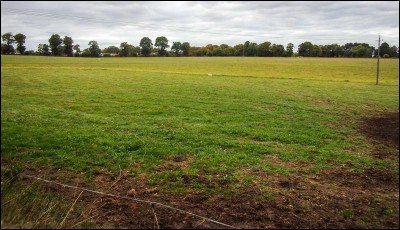 Un cheval peut avoir des allergies au foin.