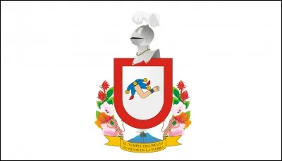 A quel État appartient ce drapeau ?