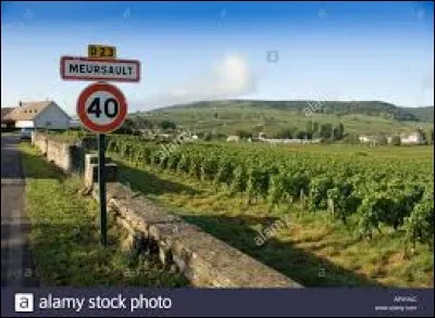 Meursault et Nuits-Saint-Georges sont des communes viticoles suitées dans le Grand-Est.