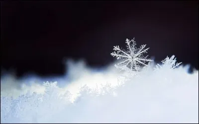 Quelle est ta couleur préférée ?