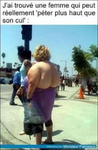 Qu'est-ce qu'un "Un peigne-cul" ?