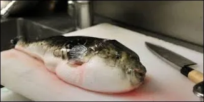 Quel poisson venimeux les Japonais consomment-ils ?