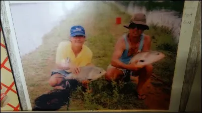 Noctuel : Le ... est un animal ... : en présence du ... il prend facilement la ... !