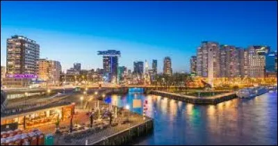 Rotterdam est la capitale des Pays-Bas.