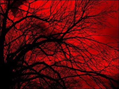 Qui chantait "Tu t'en vas" ?