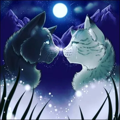 Un peu plus original. Qui est ce couple ?